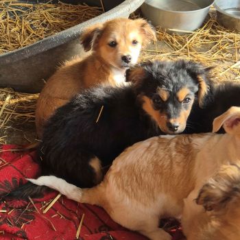 639517719 719493864580634 6417295203825228718 n