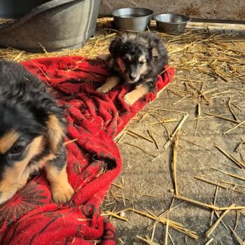 639681985 3821890544774448 3762539656902430000 n