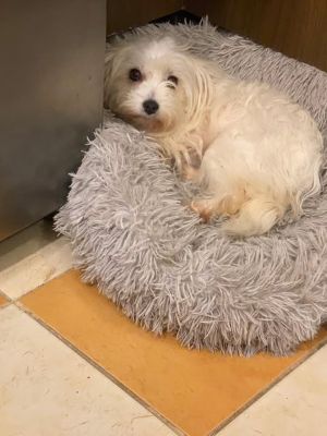 639837441 932241752888959 6411816247437058655 n