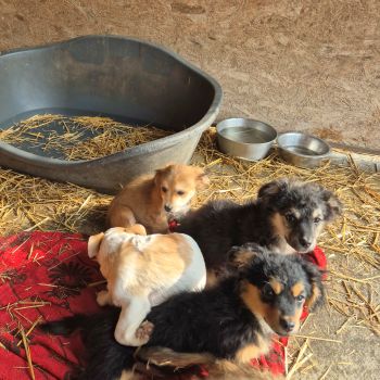 639881430 2094159328096064 6789414585621172714 n