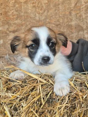 640764558 2088650542041715 3297223152833460505 n