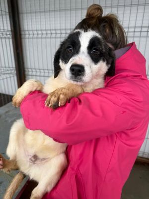 641283974 26083280431312537 7847777785218236910 n