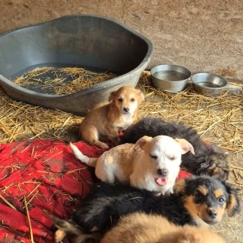 642417106 783950931421513 1360554914436821163 n