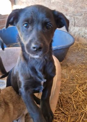 644474510 702050512934094 7234477311201307040 n