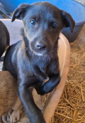 644721244 1877365976236596 656687298080450058 n