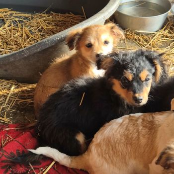 644834270 797277196767542 811654488328474424 n