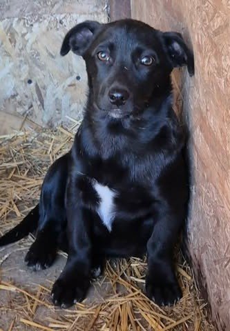 645247213 1355956526291599 8970894947602625366 n