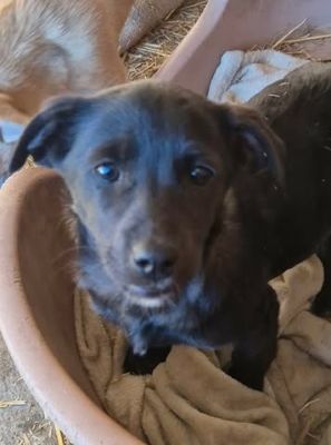 645326209 2295879250904349 8231942523198635906 n