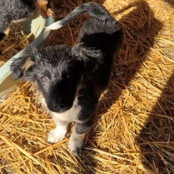 646321432 1631333328008366 4135205869716465788 n