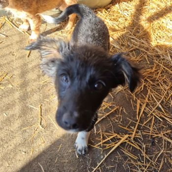 647137554 2468212306930108 1375440417730430438 n