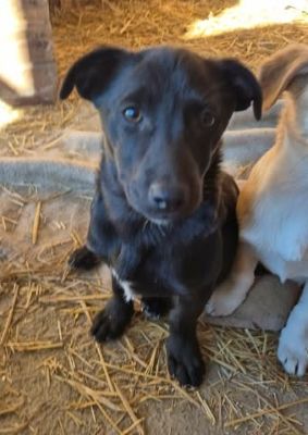 647138843 1673445267174773 5742567785251305383 n