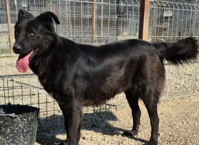 648099317 901272562516523 1187799108024846016 n