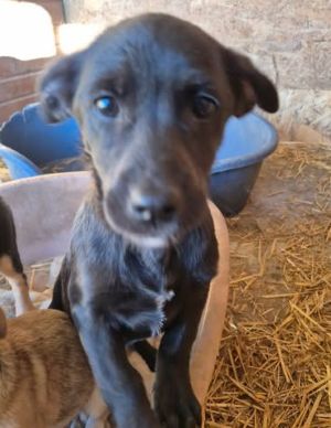 648434291 938266165329940 1434765483385850845 n