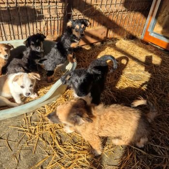 649310873 1435672031429256 3603275352721538931 n