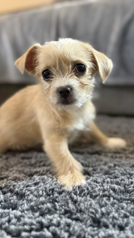 6901b6b6 82c3 4fef a3f9 15fac7dfb8e7