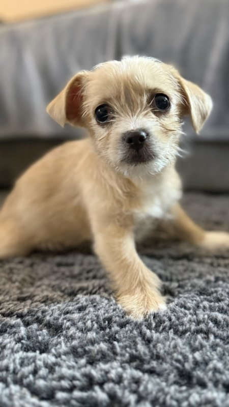 780cb153 ed2b 4bd2 a4b3 0847356dddfe