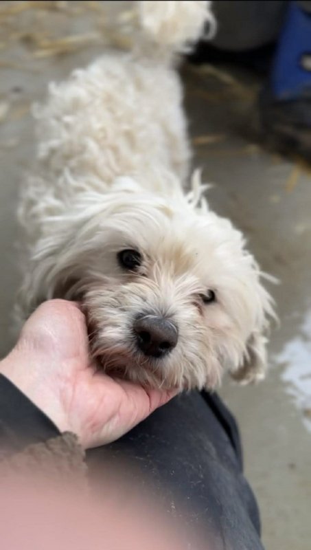 81d9c2a0 e558 4b36 a2cd c019ba1174fb