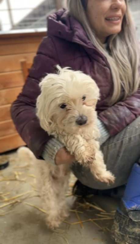 8c65bcc1 e091 4a4c a3d5 9b9f53978fd4