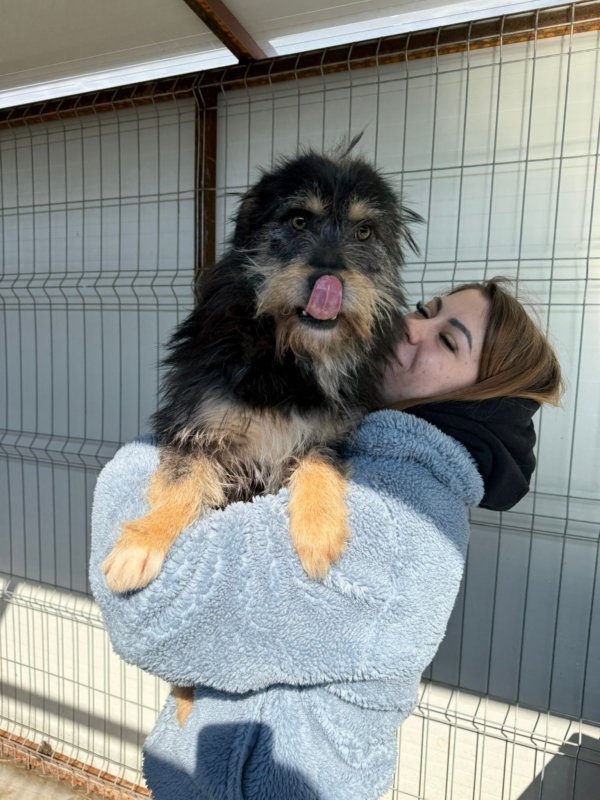 8f8a2a6d 04ed 4ac0 bd39 33c117b0c807