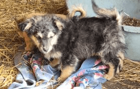 Screenshot 2026 03 04