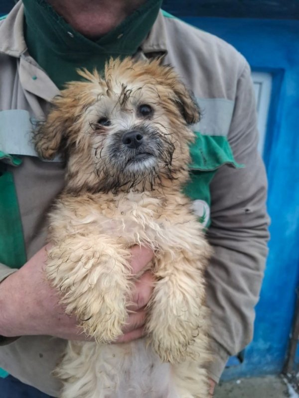 WhatsApp Image 2026 02 04 at 14.34.48 (1)