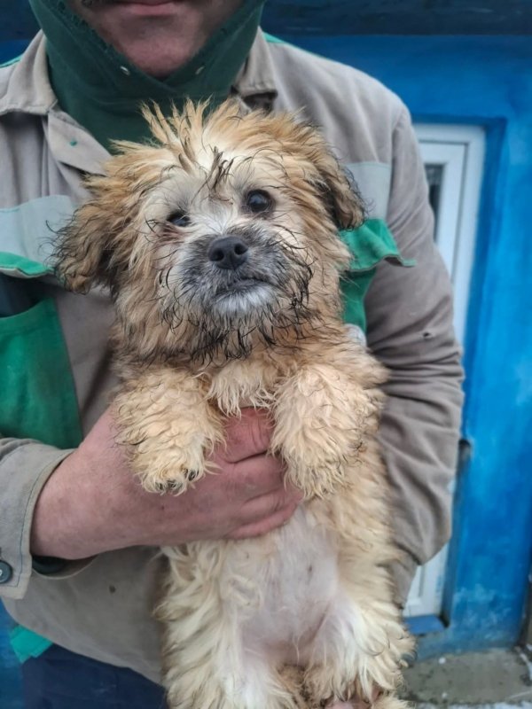 WhatsApp Image 2026 02 04 at 14.34.48 (3)