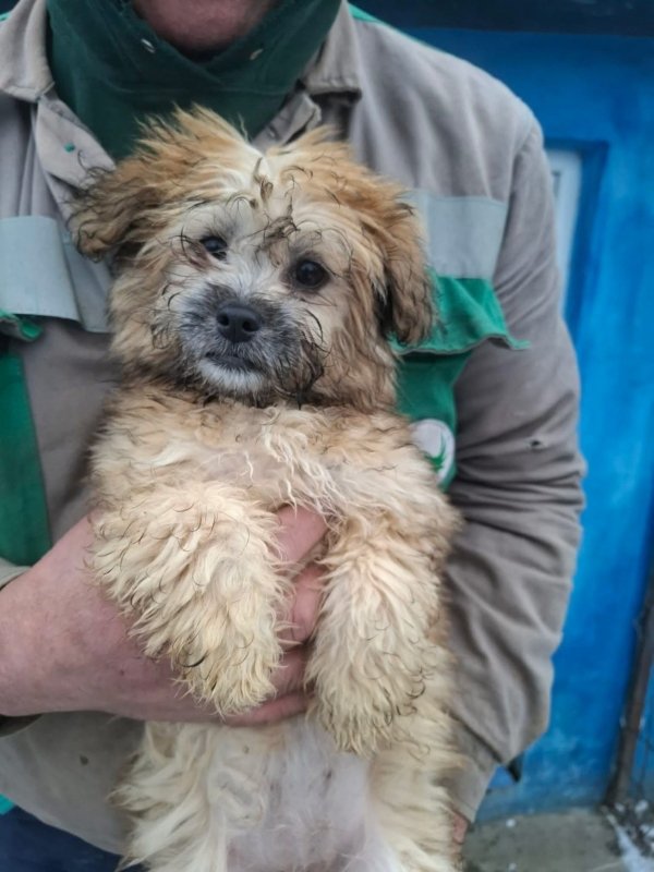 WhatsApp Image 2026 02 04 at 14.34.48 (4)