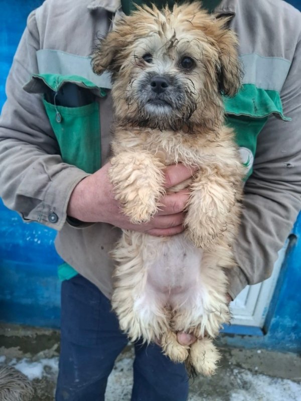 WhatsApp Image 2026 02 04 at 14.34.48 (5)