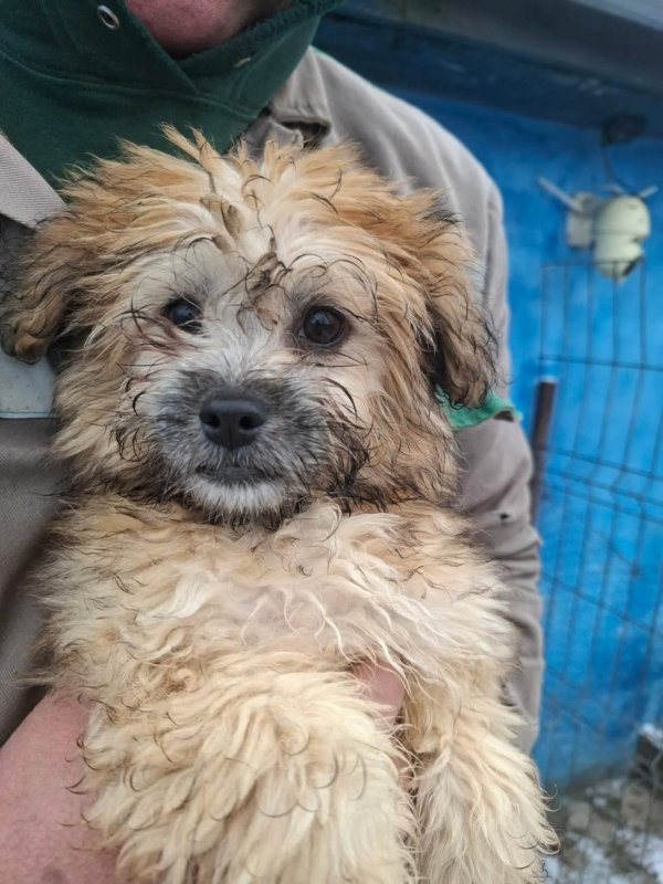 WhatsApp Image 2026 02 04 at 14.34.48