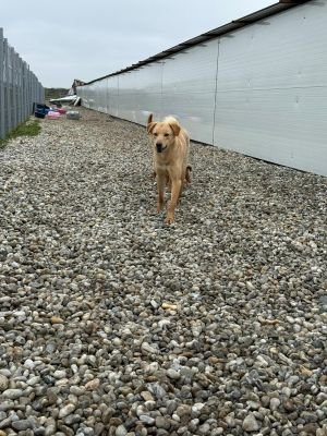 WhatsApp Image 2026 02 07 at 11.37.041