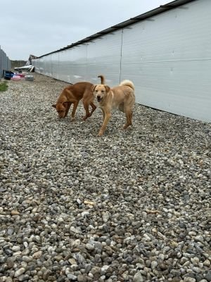 WhatsApp Image 2026 02 07 at 11.37.042