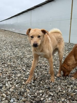 WhatsApp Image 2026 02 07 at 11.37.11