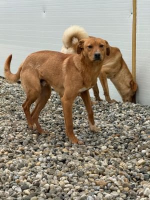 WhatsApp Image 2026 02 07 at 11.43.141