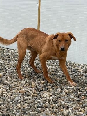 WhatsApp Image 2026 02 07 at 11.43.143