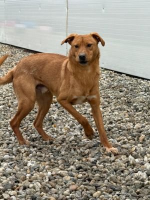 WhatsApp Image 2026 02 07 at 11.43.154