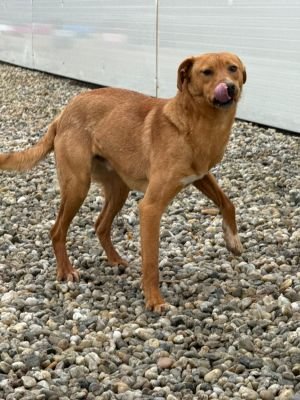 WhatsApp Image 2026 02 07 at 11.43.16