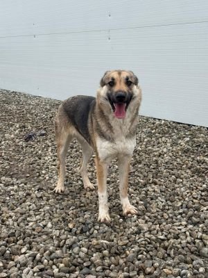 WhatsApp Image 2026 02 07 at 12.22.55