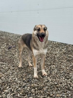 WhatsApp Image 2026 02 07 at 12.23.00