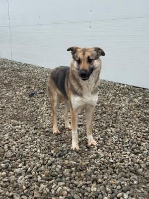 WhatsApp Image 2026 02 07 at 12.23.001