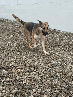 WhatsApp Image 2026 02 07 at 12.23.011.