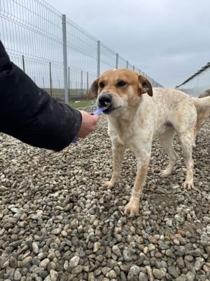 WhatsApp Image 2026 02 07 at 12.29.10