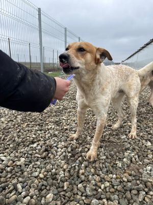 WhatsApp Image 2026 02 07 at 12.29.101