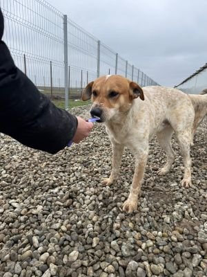 WhatsApp Image 2026 02 07 at 12.29.112