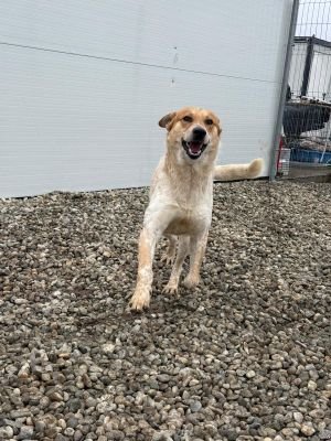 WhatsApp Image 2026 02 07 at 12.29.14