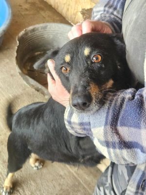 WhatsApp Image 2026 02 13 at 11.23.07