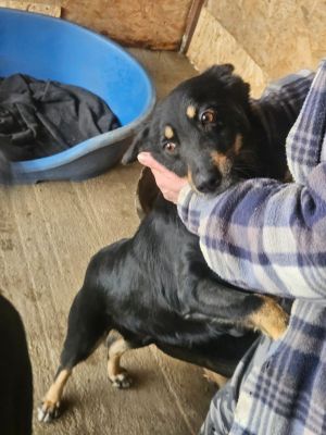 WhatsApp Image 2026 02 13 at 11.23.08