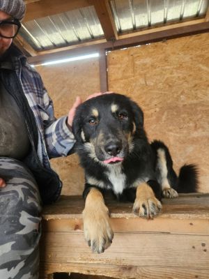 WhatsApp Image 2026 02 13 at 11.25.26