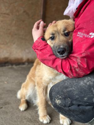 WhatsApp Image 2026 02 13 at 11.41.21