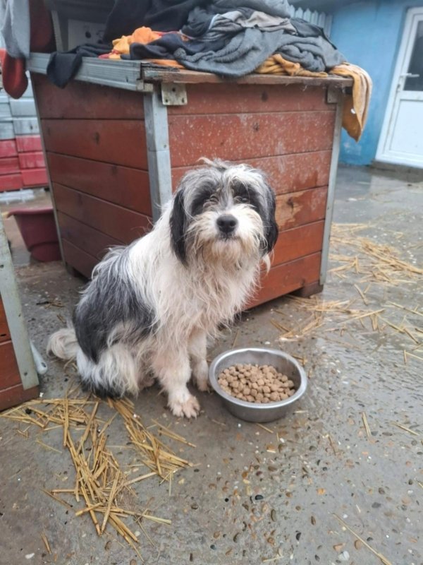 WhatsApp Image 2026 02 14 at 09.45.43 (1)