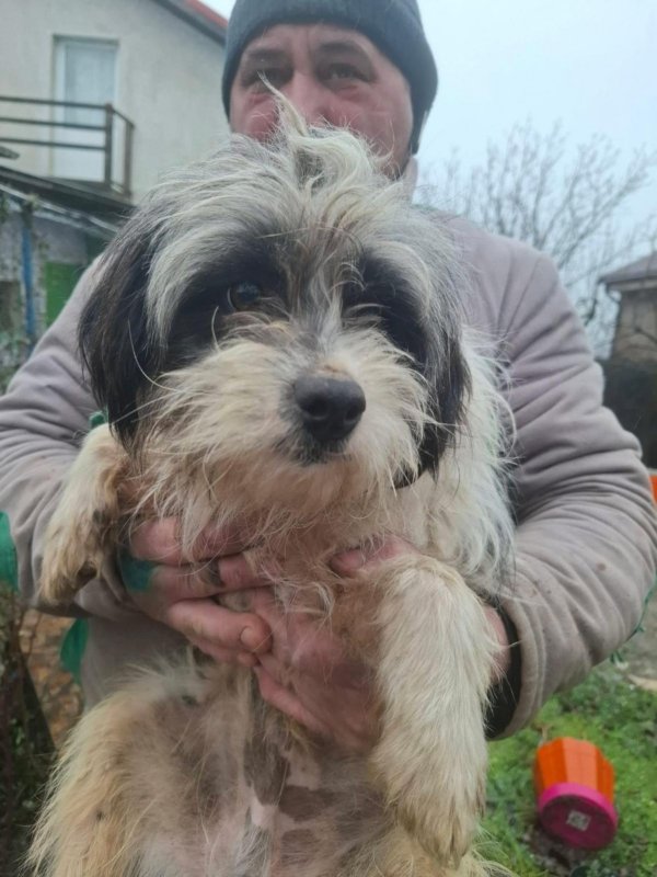 WhatsApp Image 2026 02 14 at 09.45.43